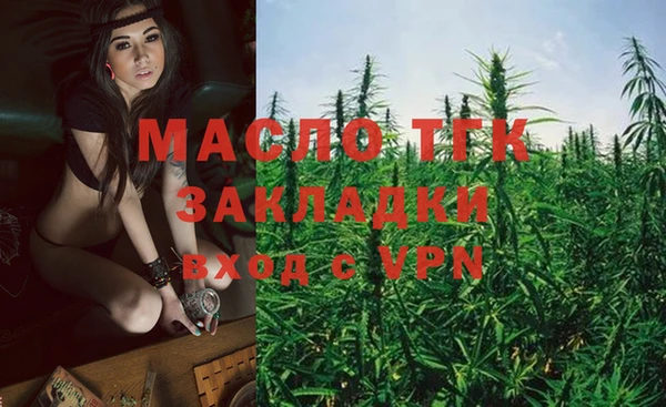 дмт Новозыбков