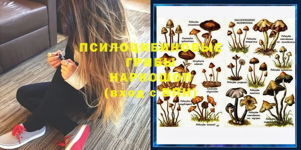 амфетамин Новодвинск