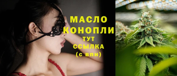 дмт Новозыбков