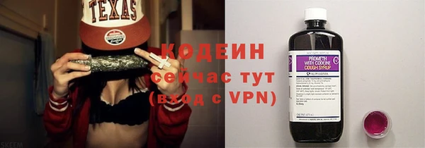 дмт Новозыбков
