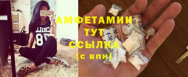 молекула духа Болхов