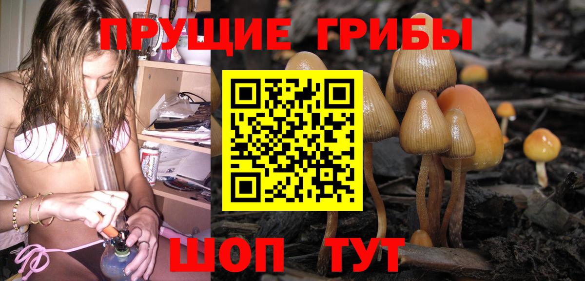 Галлюциногенные грибы Psilocybe  Волжск  Галлюциногенные грибы Magic Shrooms 
