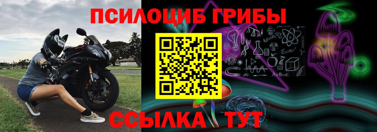 Псилоцибиновые грибы Psilocybine cubensis Волжск
