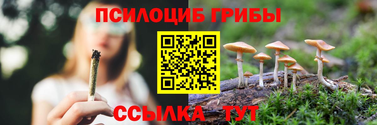 Волжск  Галлюциногенные грибы Psilocybine cubensis  Галлюциногенные грибы ЛСД  Вход с VPN 